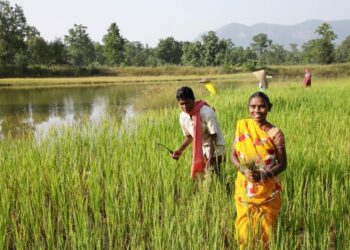 BALCO transforming the lives of farmers in the vicinity