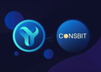 YES WORLD Token is TOP Gainer Up 4900 % in just 24 hours! Highest Volume for a newly listed Token