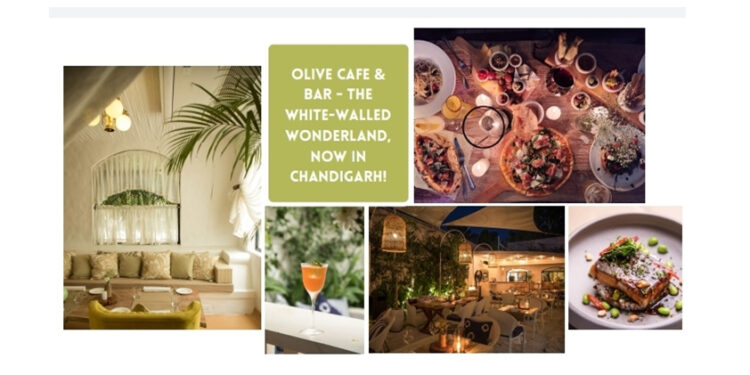 The Olive Cafe & Bar, the white-walled wonderland, opens in the city beautiful