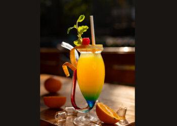 The Lazy Turtle’s Mixology Magic: Crafting Cocktails, One Lazy Sip at a Time