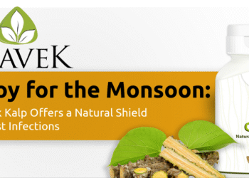 Giloy for the Monsoon: PravekKalp Offers a Natural Shield Against Infections
