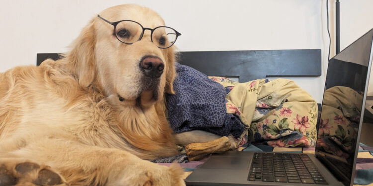 Mars Grumpy – Winner of the 21st Century Emily Dickinson Award