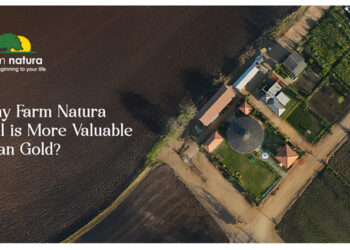 Why Farm Natura Soil Is More Valuable Than Gold