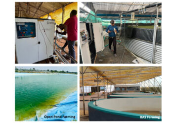 Prasinos Tech Innovations to Showcase Nanobubble Technology at Aquaex India 2025 – Powering the Next Wave of India’s Blue Revolution