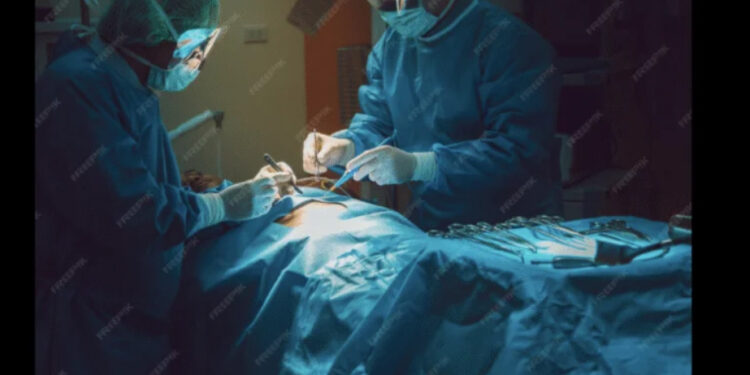 Five Years of Excellence: How Tara Healthcare is Redefining Plastic Surgery in Bangalore 