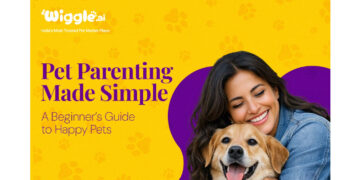 Pet Parenting Made Simple: A Beginner’s Guide to Happy Pets